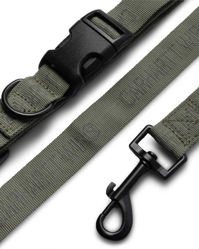 Carhartt - Tour Dog Leash & Collar - Smoke Green / Reflective Lifestyle Carhartt   